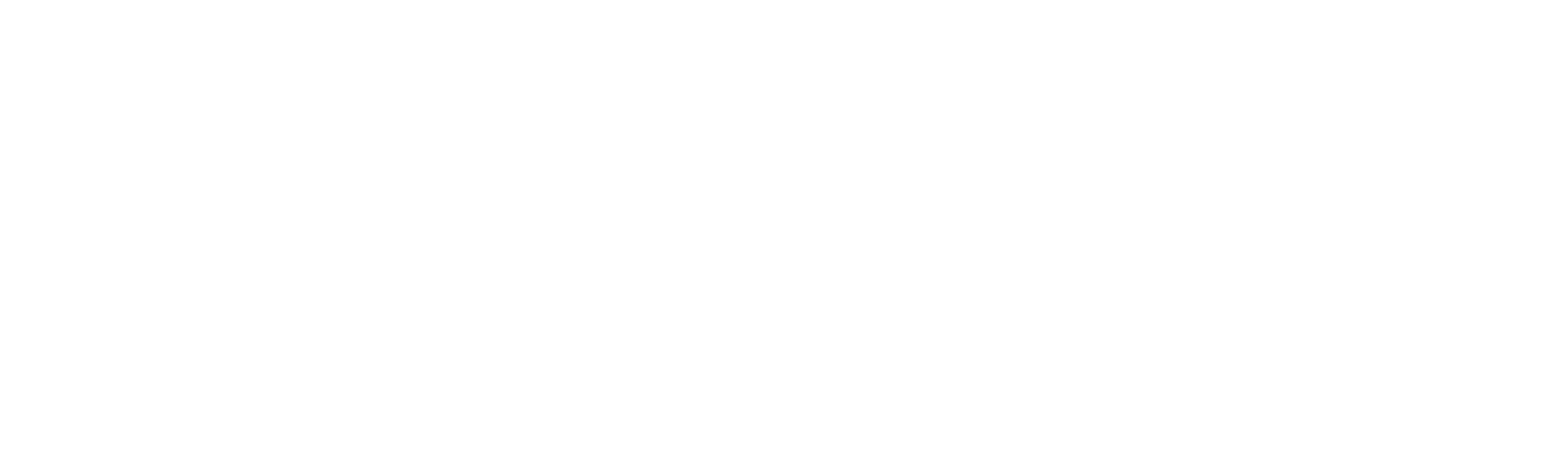 Dahua Partner