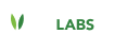 IT Consulting Client